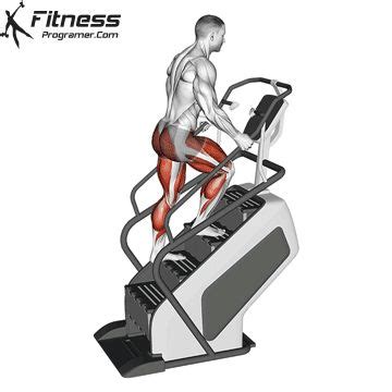 How To Use Stair Climber Machine | Benefits And Muscles Worked | Back ...