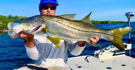 Swim-jig Secrets for Florida Snook | Grand View Outdoors