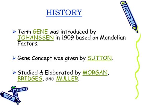 PPT - CONCEPT OF GENE PowerPoint Presentation, free download - ID:3362503