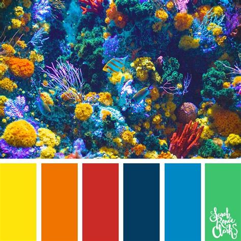 Coral reef color inspiration // Take a dive under the sea with these color combinations inspired ...