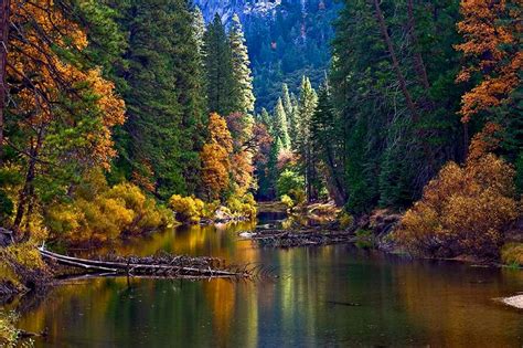 Yosemite - Merced River in Fall Color : Photos, Diagrams & Topos : SummitPost