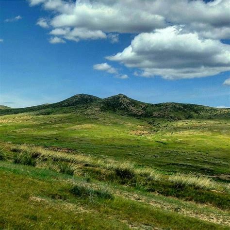 Hustai National Park, Mongolia | National parks, Nature, Favorite places