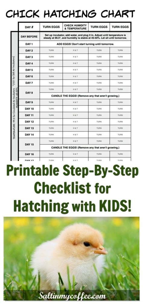 Hatching with kids is so much fun! This printable chart makes it easy ...