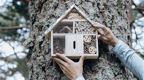 Give your garden wildlife a home with the best bug hotels