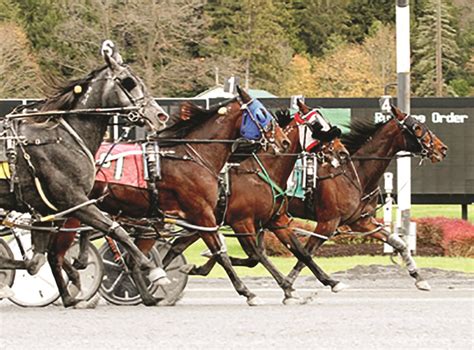 79th Harness Racing Season Is Underway At Saratoga Casino Hotel With ...