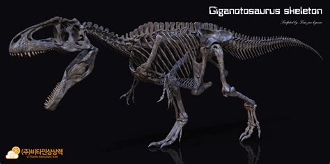 Giganotosaurus skeleton, Vitamin Imagination | Dinosaur, Skeleton, Artwork