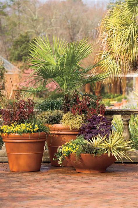 15 Tips for Great Winter Pots | Southern Living