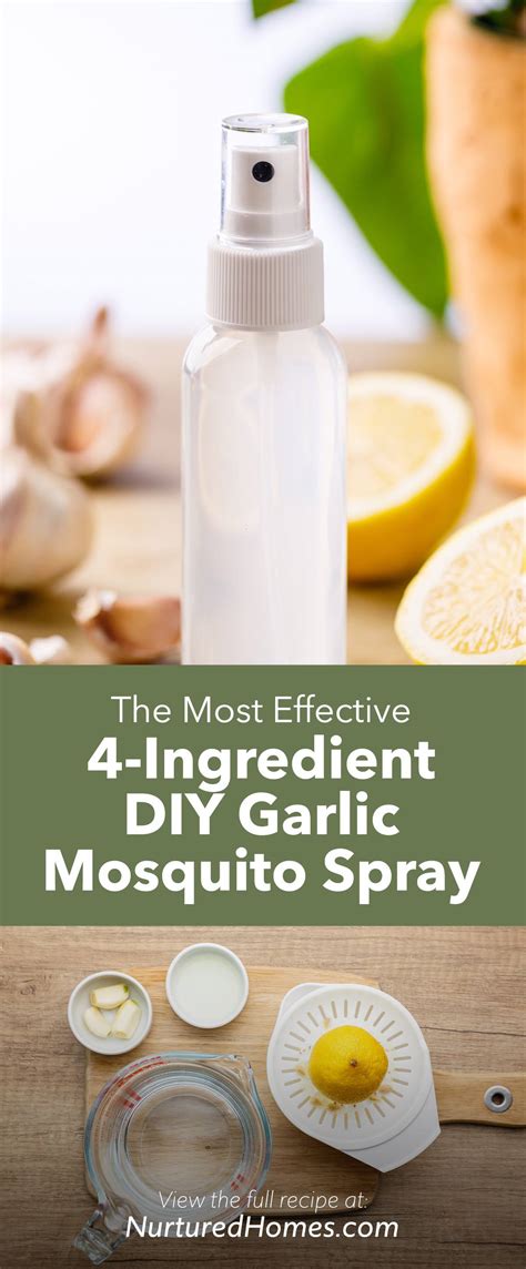 4-Ingredient Garlic Mosquito Spray (DIY Mosquito Repellent Recipe ...