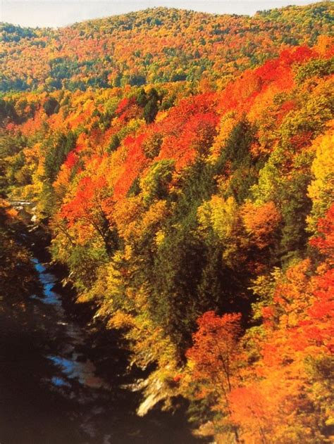 Fall foliage in Vermont: Take this Killington-area leaf-peeping trip ...