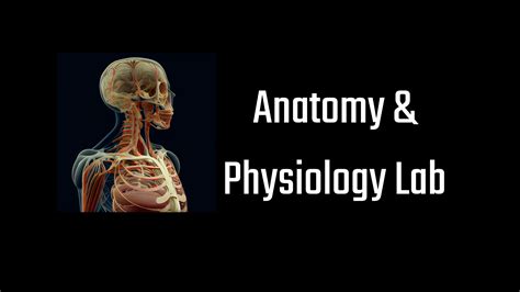 Anatomy & Physiology Lab on SideQuest - Oculus Quest Games & Apps including AppLab Games ...