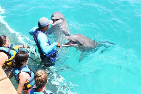 Swimming with the Dolphins in Cancun — Kevin & Amanda