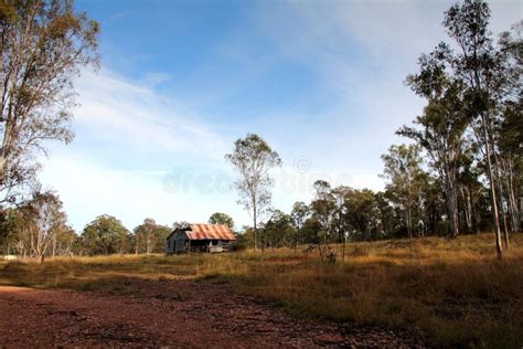 Rural Australia stock image. Image of trees, australia - 21868679