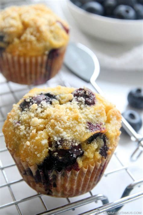 Easy Blueberry Muffins (Gluten-Free, Paleo) | Recipe | Easy blueberry ...