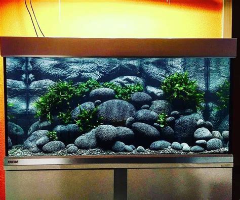 Aquarium Hobby on Instagram: “You don't see river rocks in planted tanks very often. We love ...