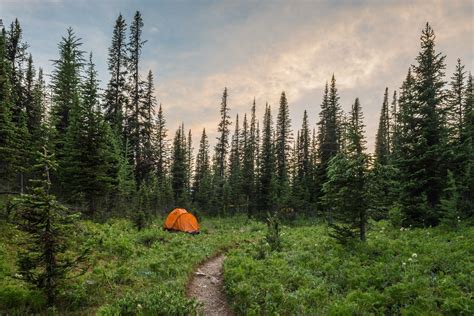 Wallpaper : 2048x1367 px, camping, green, landscape, nature, path ...