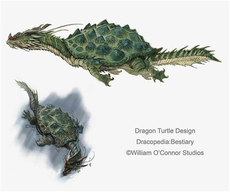 The Dracopedia Project.A dragon turtle (龙龟, Lóngguī) is a legendary ...