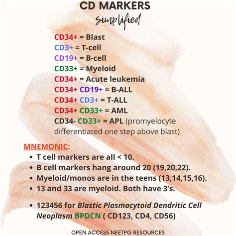 CD Markers - Simplified (Mnemonic)