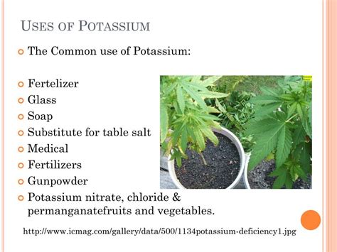 PPT - Potassium PowerPoint Presentation, free download - ID:2347998