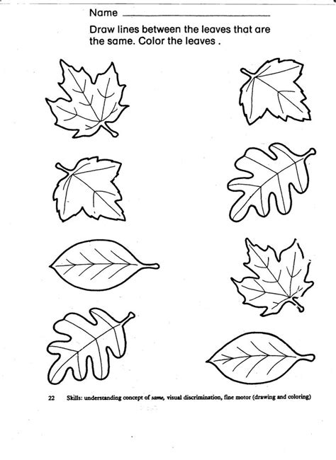 Autumn leaf matching | Preschool patterns, Preschool pattern worksheets, Fall preschool