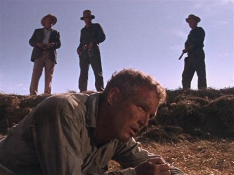 'Cool Hand Luke': A 50th Anniversary of Resilience and Defiance