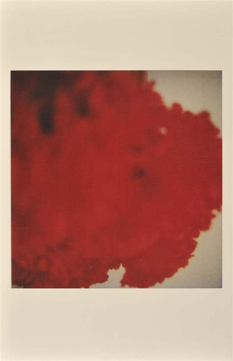 cy-twombly-photographs-3 | tomorrow started