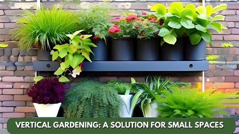 Vertical Gardening: A Solution for Small Spaces - City Sprout Solutions