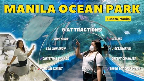 Manila Ocean Park 2022 | Luneta, Manila | 8 Attractions | Penguin ...