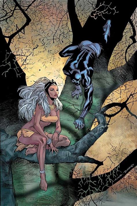 super-nerd: Black Panther & Storm by Olivier Coipel | Black panther art ...