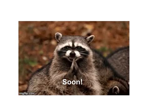 Evil Plotting Raccoon Animated Gif Maker - Piñata Farms - The best meme ...