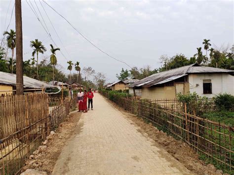 Tea Tribes of Assam: Culture, Tradition & Identity