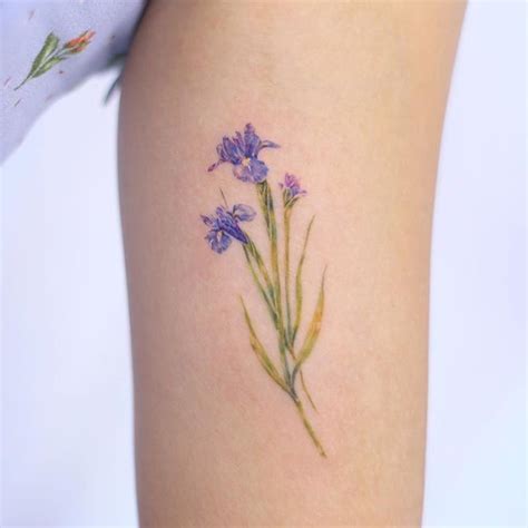 Purple Iris Tattoo Designs / What Does Iris Tattoo Mean Represent Symbolism