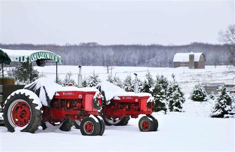 Fridays on the Farm: A Solar-Powered Holiday at Stokoe Farms | Farmers.gov