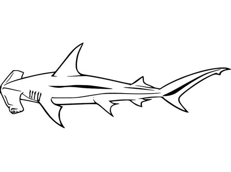 Hammerhead Shark 4 Coloring Page - Free Printable Coloring Pages for Kids