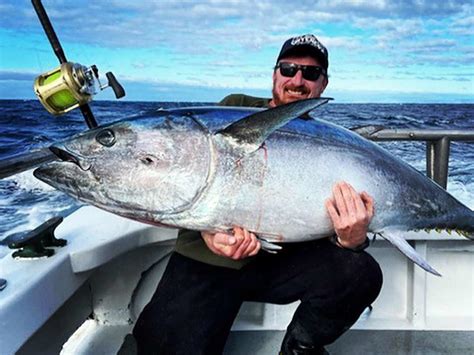 Fishing Techniques For Bluefin Tuna - Unique Fish Photo