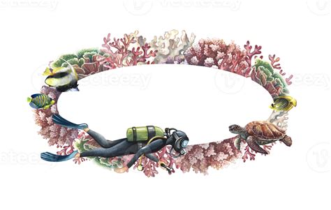 Oval frame with diver, corals, sea turtle and fish. Hand-painted watercolor painting. Aquarium ...