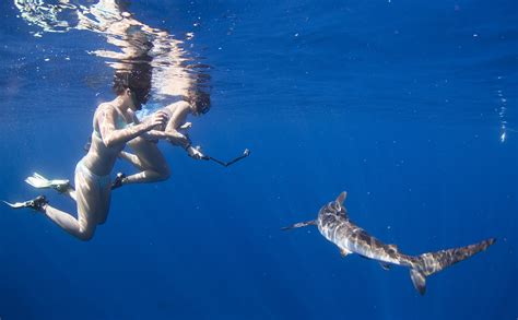 Half Day Snorkeling & Swimming with Sharks – Cabo Paradise Tours