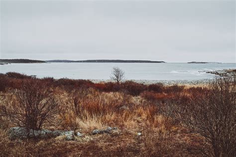 Walk Along Crystal Crescent Beach on Behance