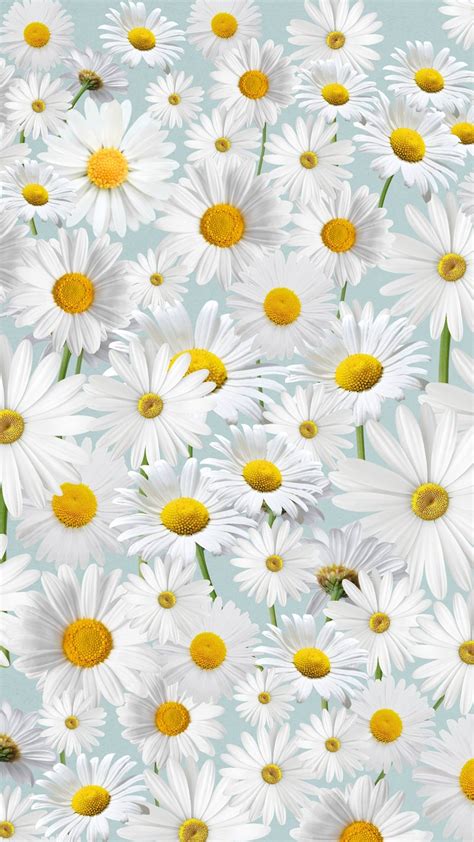 Daisy floral pattern mobile wallpaper, | Premium Photo - rawpixel