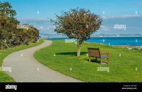 Coastal path at Penrhos country Park on Anglesey Stock Photo - Alamy