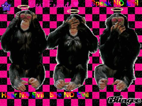 NO Evil Monkeys Picture #74025309 | Blingee.com