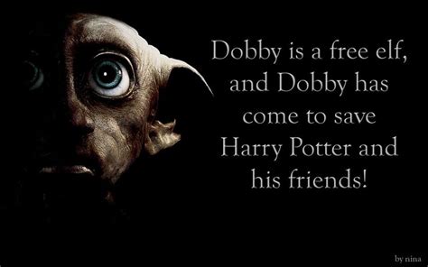 You always be rembemberd Dobby!!! | Harry potter pictures, Dobby, Dobby quotes