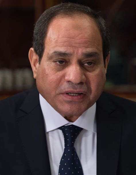 Abdel Fattah el-Sisi Facts and News Updates | One News Page