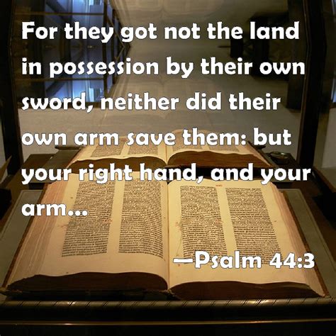 Psalm 44:3 For they got not the land in possession by their own sword ...