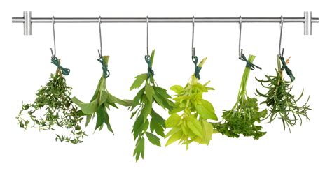 Herb PNG Transparent Images | PNG All