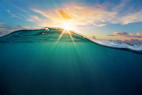 Steps needed to achieve a clean ocean by 2030 - Earth.com