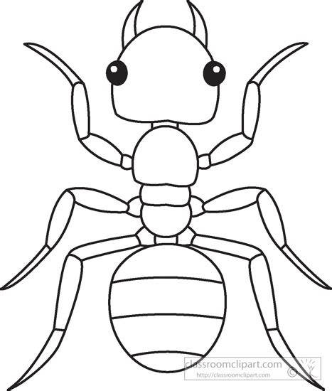 Animals Black and White Outline Clipart - ant-insects-black-white ...