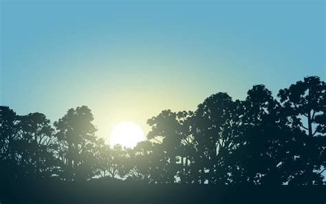 Sunrise in forest with tree silhouette. Forest sunrise background 4865278 Vector Art at Vecteezy