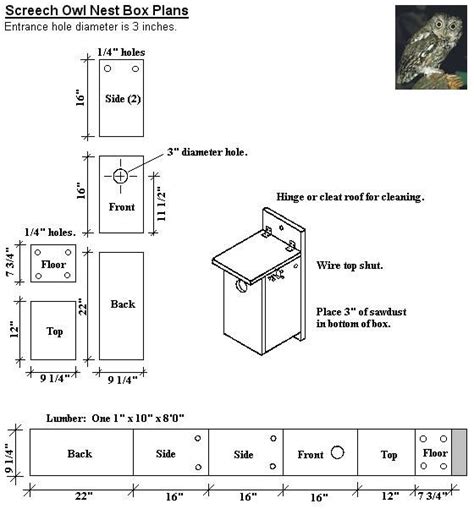 Printable Screech Owl Box Plans - Printable Templates