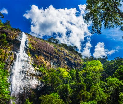 Your Guide to the Diyaluma Falls - Awe Inspiring & Majestic - The Traveller Pass