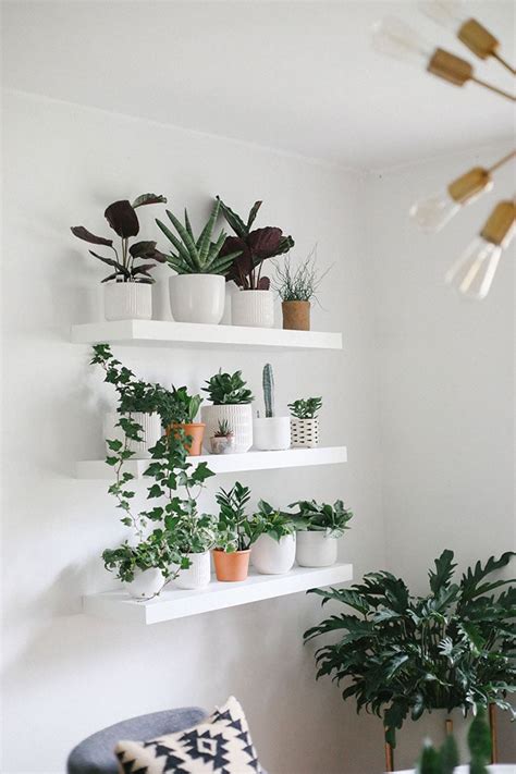 How to Build the Perfect Plant Wall - Fit Foodie Finds